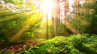 Как светлината подобрява настроението ни?